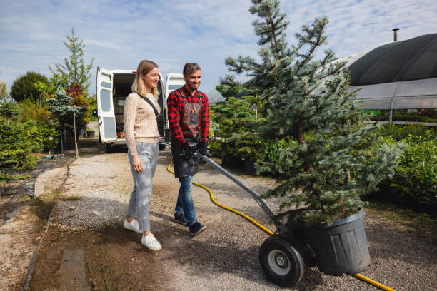 Best Hazardous Tree Removal  in Baxter, MN